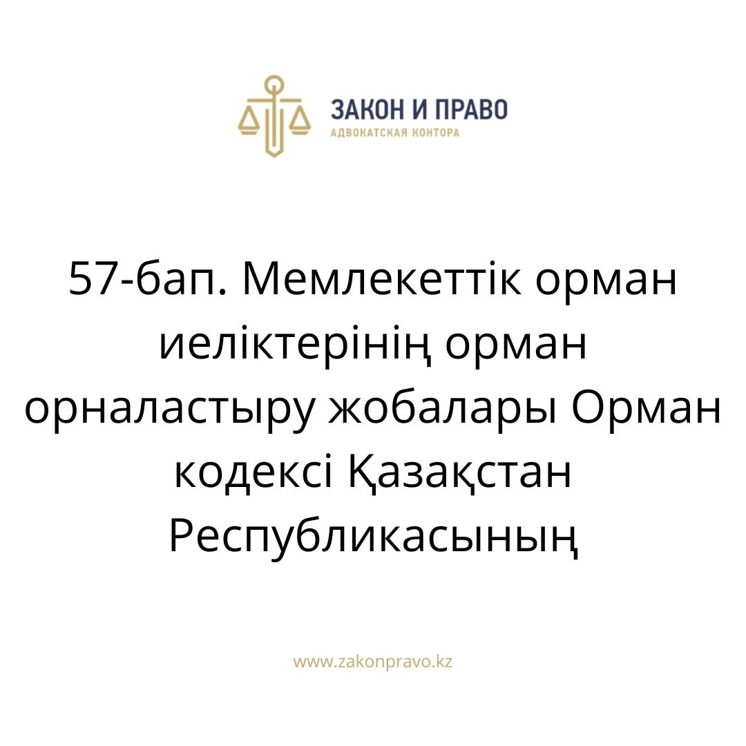 АMANAT партиясы және Заң және Құқық адвокаттық кеңсесінің серіктестігі аясында елге тегін заң көмегі көрсетілді